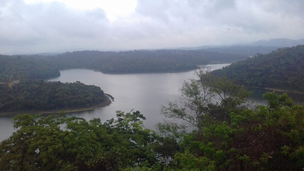 Parque Estadual do Rio Doce