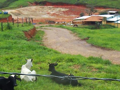 Estrada de Paracatu a Mariana - Grande Ciclo