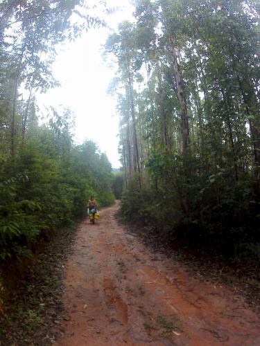 Estrada de Paracatu a Mariana - Grande Ciclo