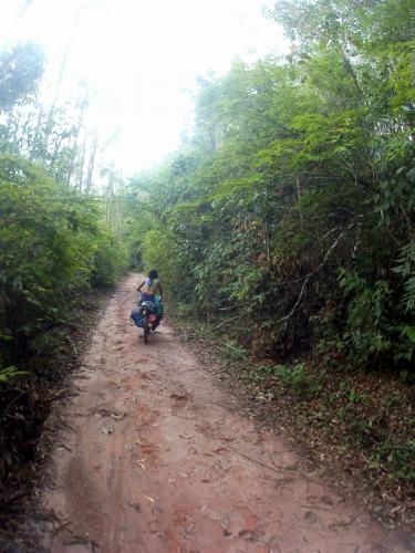 Estrada de Paracatu a Mariana - Grande Ciclo