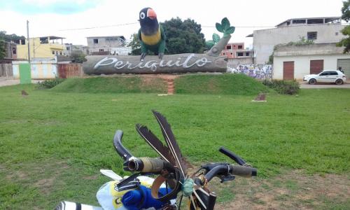 Estrada de Cachoeira da Fumaça a Naque - Grande Ciclo