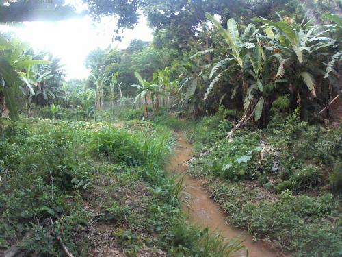 Estrada de Cachoeira da Fumaça a Naque - Grande Ciclo