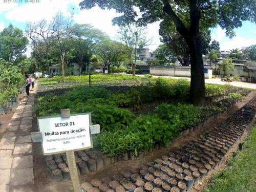 Farmacia Viva, Ipatinga - Grande Ciclo