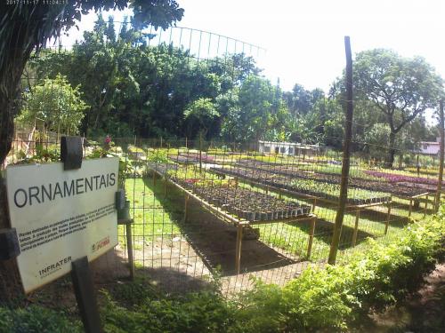 Farmacia Viva, Ipatinga - Grande Ciclo