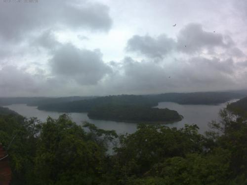 Parque Estadual do Rio Doce - Grande Ciclo