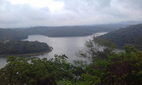 Parque Estadual do Rio Doce - Grande Ciclo