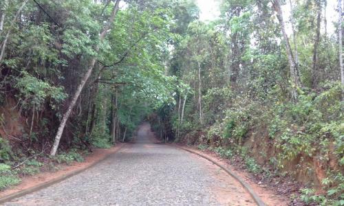 Parque Estadual do Rio Doce - Grande Ciclo