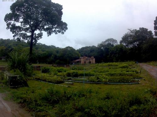 Parque Estadual do Rio Doce - Grande Ciclo