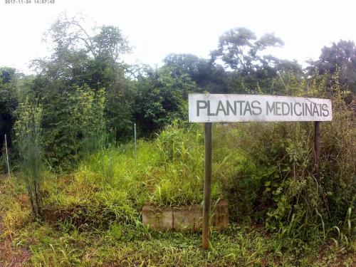 Parque Estadual do Rio Doce - Grande Ciclo