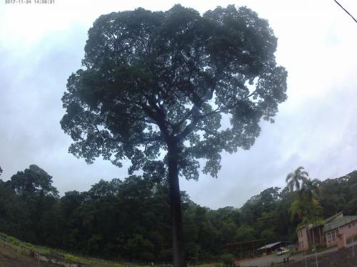 Parque Estadual do Rio Doce - Grande Ciclo