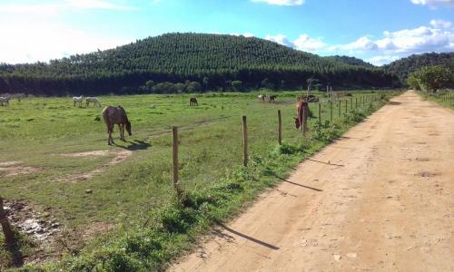 Estrada do PRD a São Jose do Goiabal - Grande Ciclo