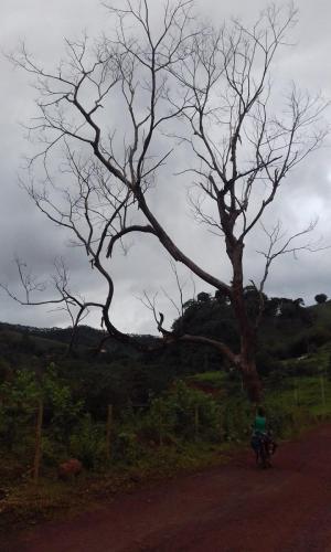 Estrada de Gesteira a Paracatu - Grande Ciclo