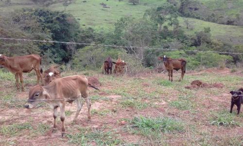 Estrada de Gesteira a Paracatu - Grande Ciclo