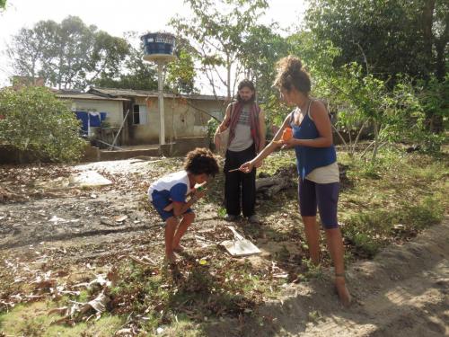 Pacas para plantas, Escola Regência. Grande Ciclo. 15/09/2017