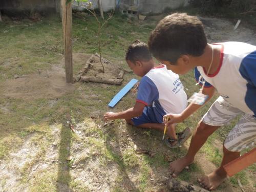 Pacas para plantas, Escola Regência. Grande Ciclo. 15/09/2017