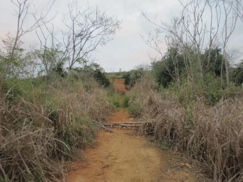 Caminho de Linhares a Humaita, Grande Ciclo - 20/09/2017