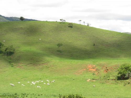 Santana do Deserto, Minas Gerais - Grande Ciclo