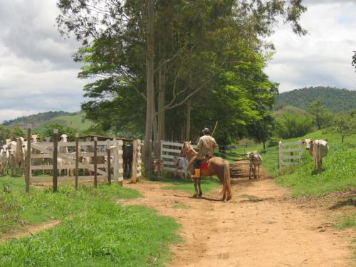 Santana do Deserto, Minas Gerais - Grande Ciclo