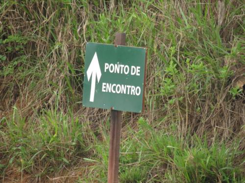 Estrada da EFAC a Santana do Deserto - Grande Ciclo