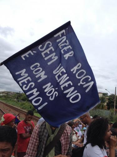 Revoluçao dos Peixes, Governador Valadares. Grande Ciclo