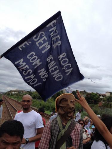 Revoluçao dos Peixes, Governador Valadares. Grande Ciclo