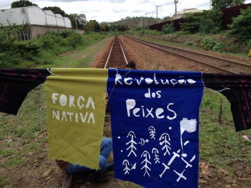 Revoluçao dos Peixes, Governador Valadares. Grande Ciclo