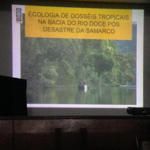 II Seminario da Bacia do Rio Doce. Grande Ciclo