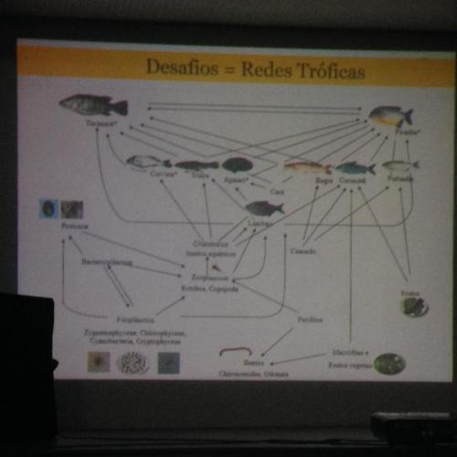 II Seminario da Bacia do Rio Doce. Grande Ciclo