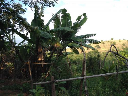 Estrada de Governador Valadares ao acampamento Cachoeira da Fumaça - Grande Ciclo