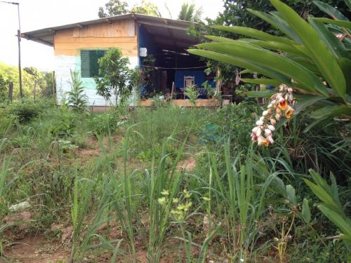 Estrada de Governador Valadares ao acampamento Cachoeira da Fumaça - Grande Ciclo