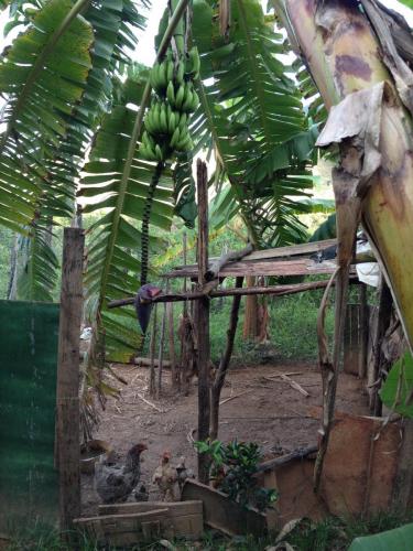 Estrada de Governador Valadares ao acampamento Cachoeira da Fumaça - Grande Ciclo