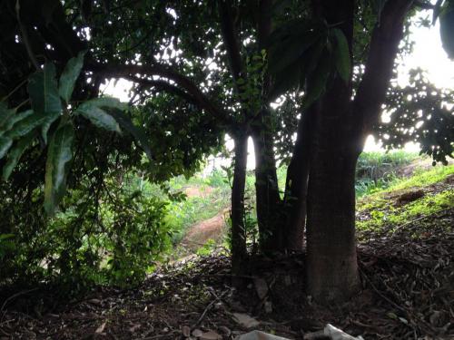 Estrada de Governador Valadares ao acampamento Cachoeira da Fumaça - Grande Ciclo