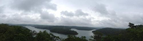 Parque Estadual do Rio Doce - Grande Ciclo