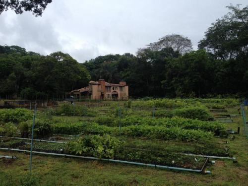 Parque Estadual do Rio Doce - Grande Ciclo