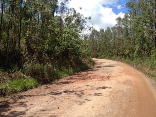 Estrada do PRD a São Jose do Goiabal - Grande Ciclo