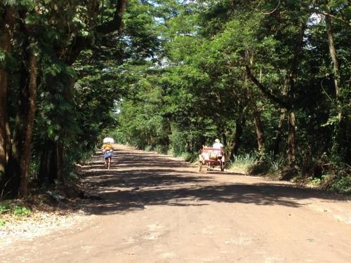 Estrada do PRD a São Jose do Goiabal - Grande Ciclo