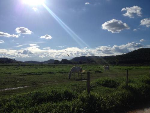 Estrada do PRD a São Jose do Goiabal - Grande Ciclo