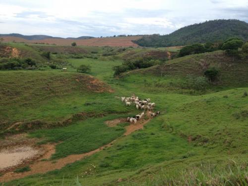 Estrada de Goiabal a EFA de Camões - Grande Ciclo