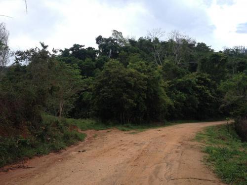 Estrada de Rio Doce a Barra Longa - Grande Ciclo