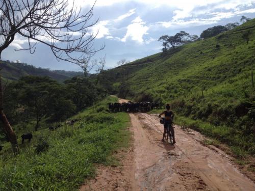 Estrada de Rio Doce a Barra Longa - Grande Ciclo