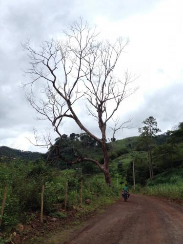 Estrada de Gesteira a Paracatu - Grande Ciclo