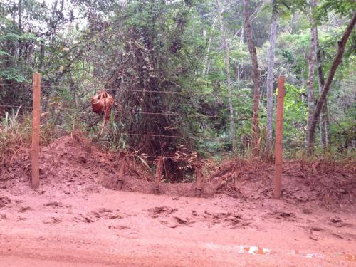 Estrada de Gesteira a Paracatu - Grande Ciclo