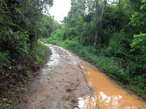 Estrada de Paracatu a Mariana - Grande Ciclo