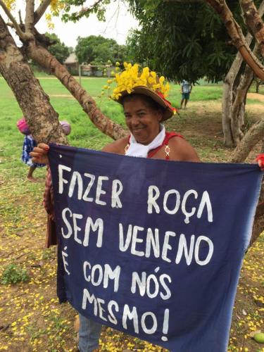 Revoluçao dos Peixes, Governador Valadares. Grande Ciclo