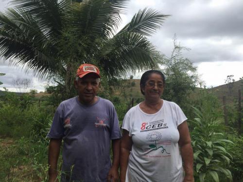 Estrada de Governador Valadares ao acampamento Cachoeira da Fumaça - Grande Ciclo