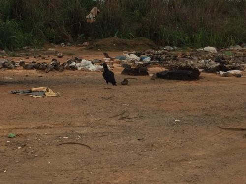 Estrada de Cachoeira da Fumaça a Naque - Grande Ciclo